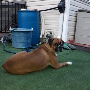 Meet your Posher, Maria